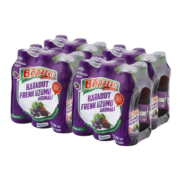 Beypazarı Maden Suyu Karadut 24 x 200 ml