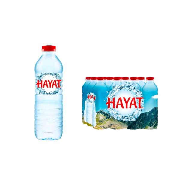 Hayat Su 12 x 500 ml